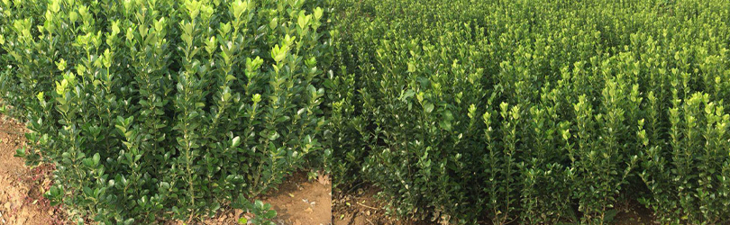 ���~�S��